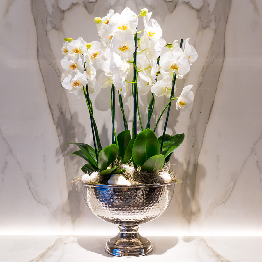 Show Stopper - Enchanted Floral Design